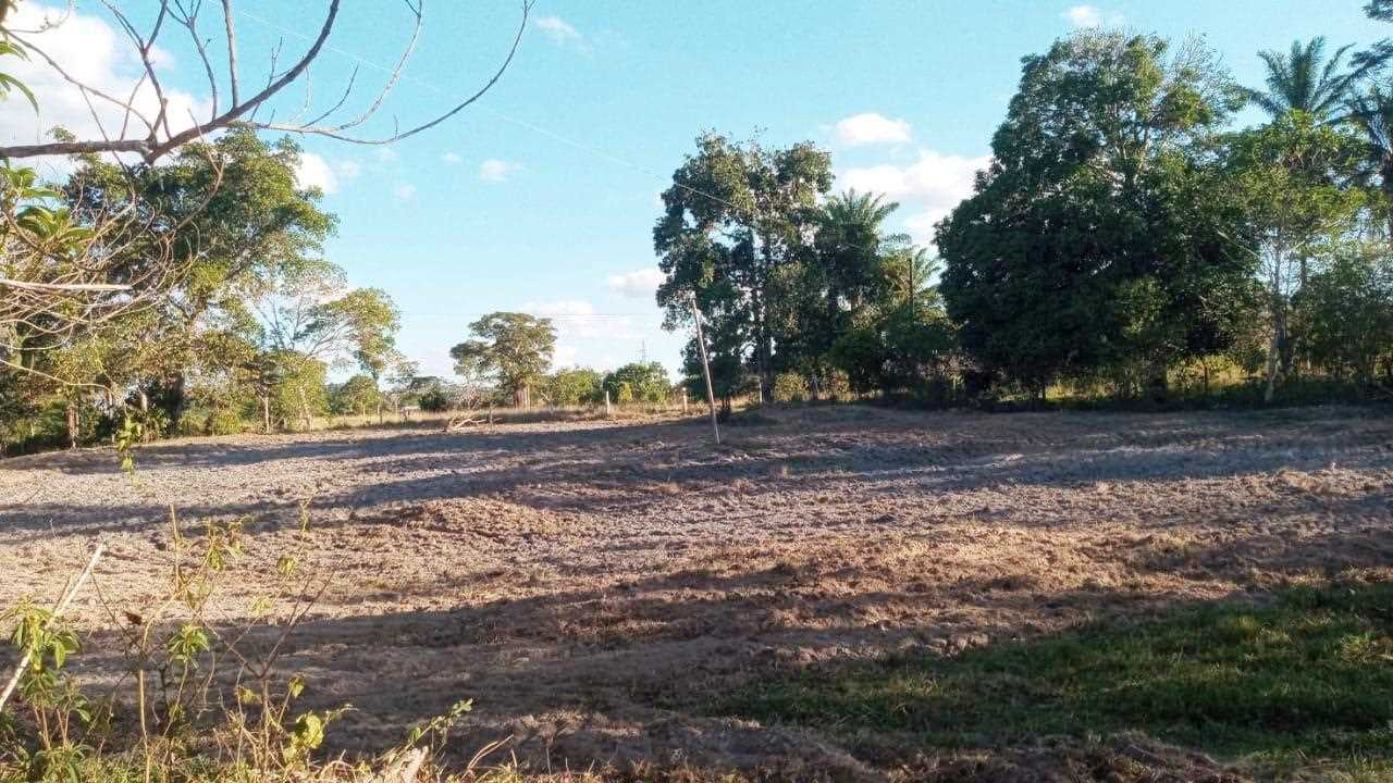 Camacã: Prefeitura chega a 25 agricultores beneficiados na aração de terras


